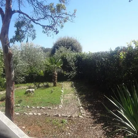 Andri * 佩特坎内